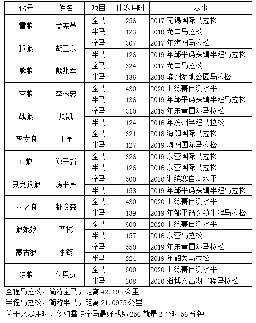 遇见更好的自己-北方的狼 ——捷易钢管马拉松队